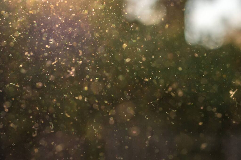 Pollen in der Luft