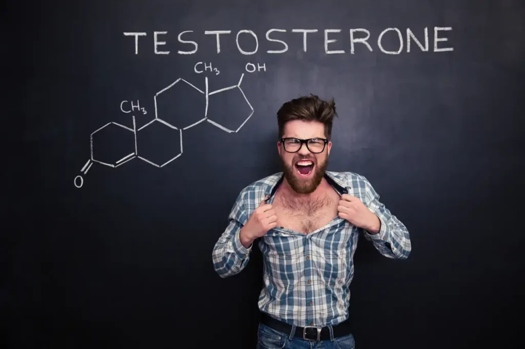 Mann Testosteron Chemie