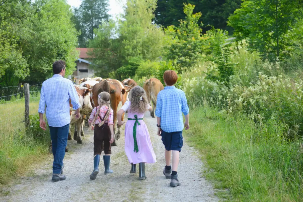 Familie Beim Spaziergang
