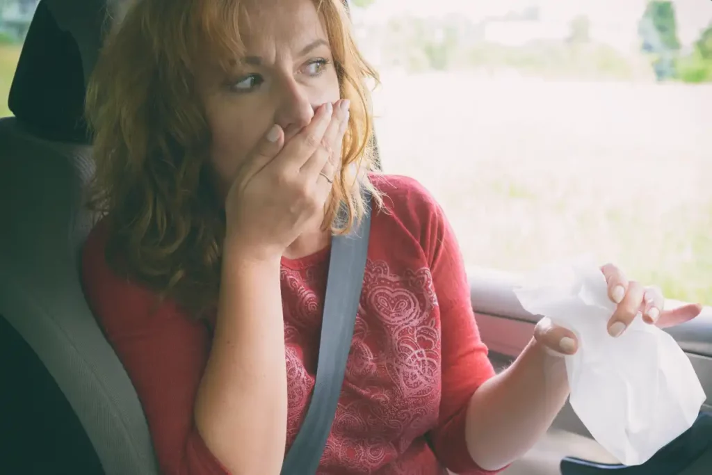Frau Kotzt Auto