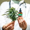 Arzt Hält Cannabis