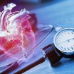 Herz Blutdruck Messgerät