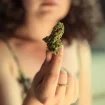 Frau Hält Cannabis