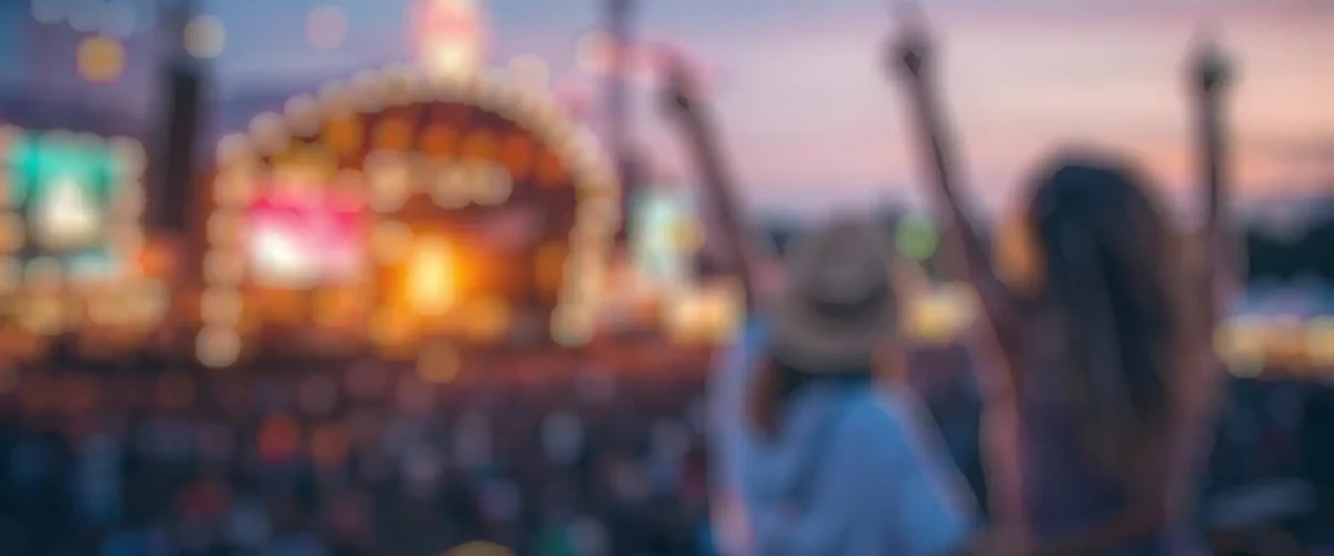 Besucher Auf Festival