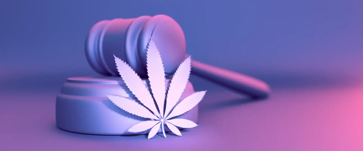 Cannabis Und Gesetz