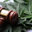 Gesetz Cannabis Hammer