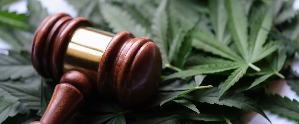 Gesetz Cannabis Hammer