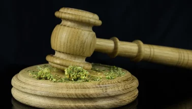 Cannabis Hammer Gesetz