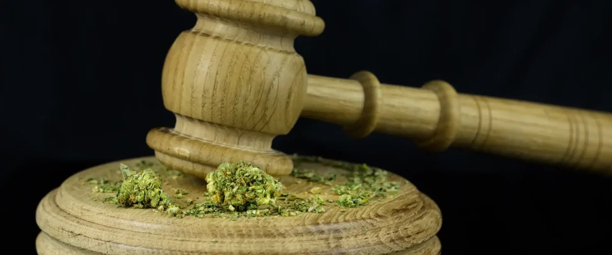 Cannabis Hammer Gesetz