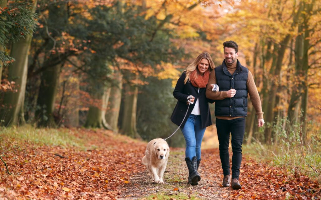 Paar mit Hund bei einem Waldspaziergang
