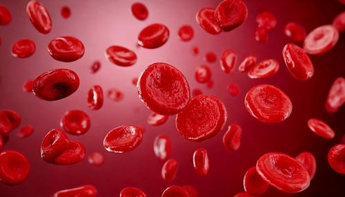 Vue au microscope des globules rouges illustrant la circulation sanguine, concept de troubles de l’érection et santé intime masculine.