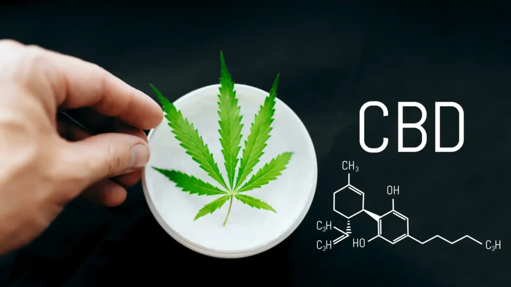 CBD Creme mit CBD-Formel und Cannabisblatt