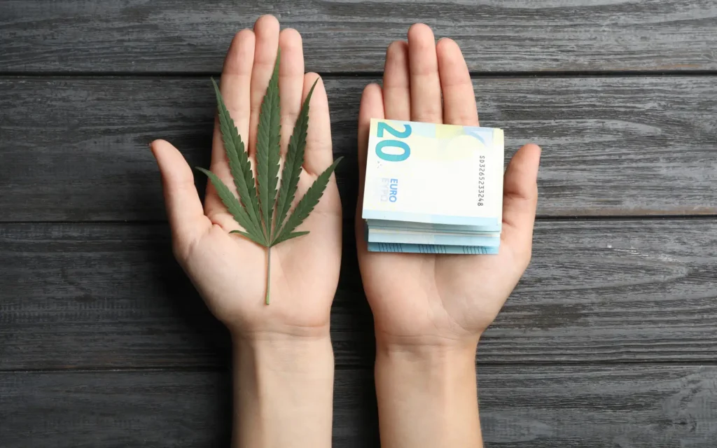 Hände halten Cannabis und Geld