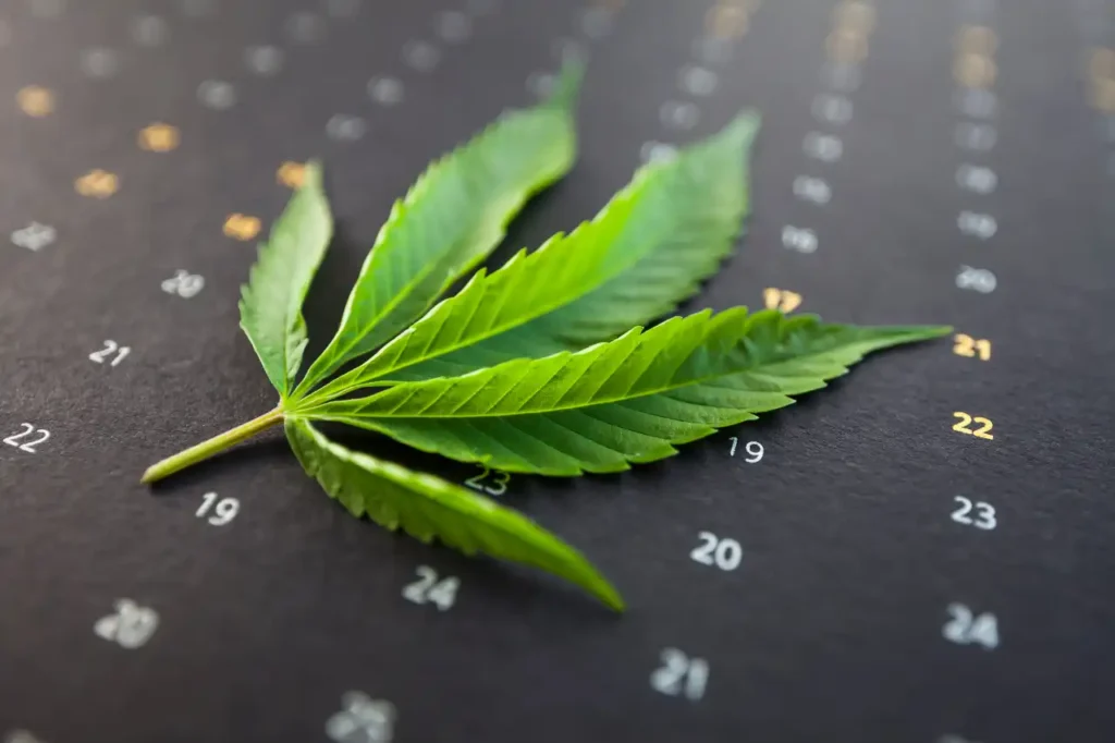 Cannabisblatt auf Kalender