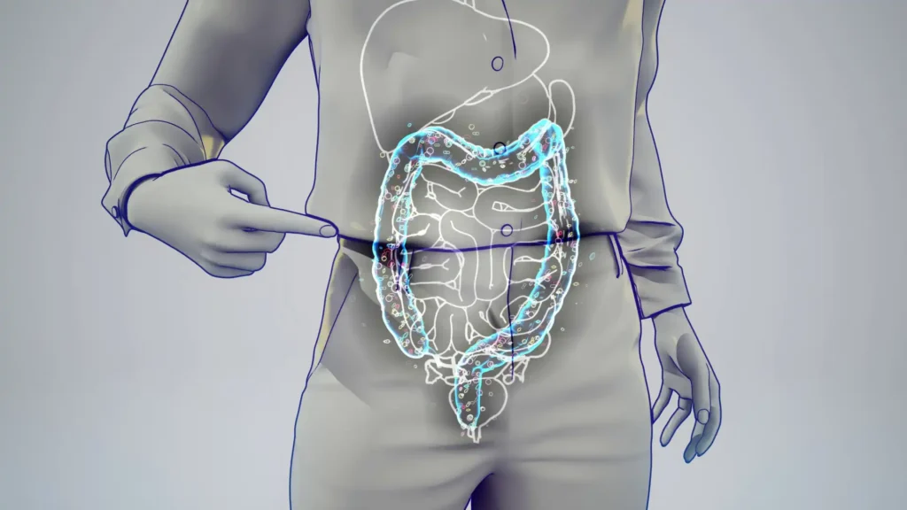 3D Grafik eines Darms in einer Person