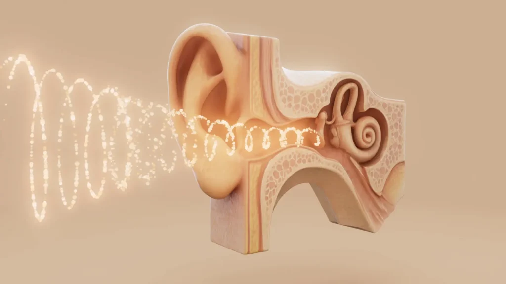 3D Darstellung eines Ohrs und von Geräuschen