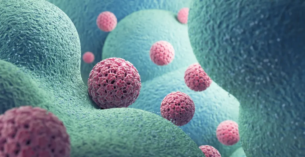 HPV als 3D Grafik dargestellt