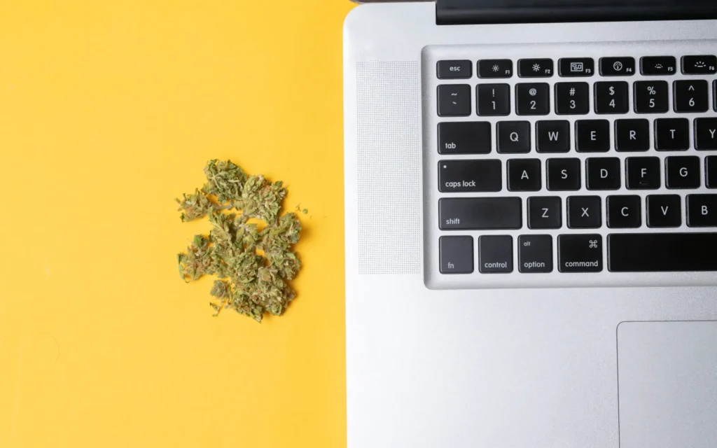 Cannabisblüten neben offenem Laptop