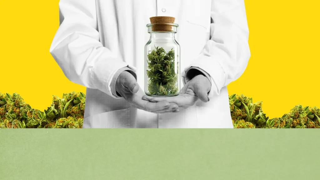 Collage Arzt hält Gla smit Cannabisblüten in den Händen