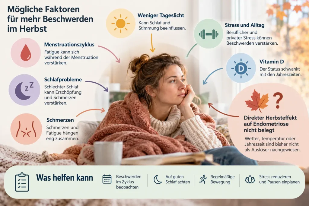 Infografik zu Endometriose und Fatigue mit möglichen Einflussfaktoren wie Menstruationszyklus, Schlaf, Schmerzen, Tageslicht und Stress sowie dem Hinweis, dass ein direkter Herbsteffekt nicht belegt ist.