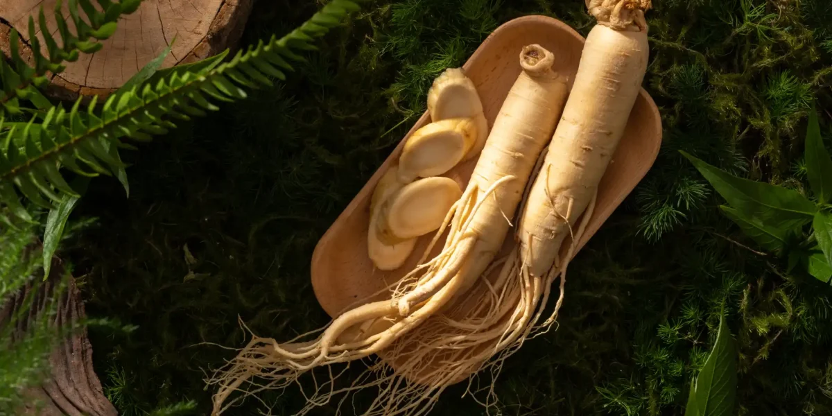 Ginseng Auf Teller