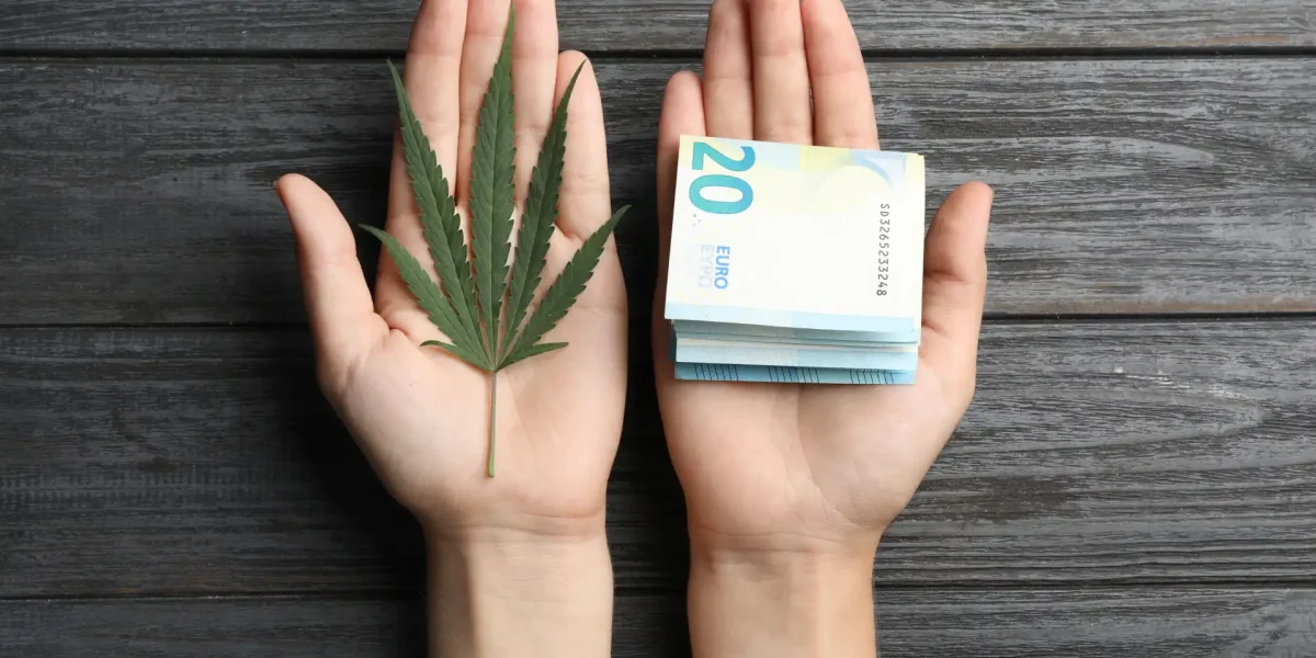 Hände halten Cannabis und Geld