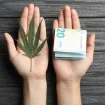 Hände halten Cannabis und Geld