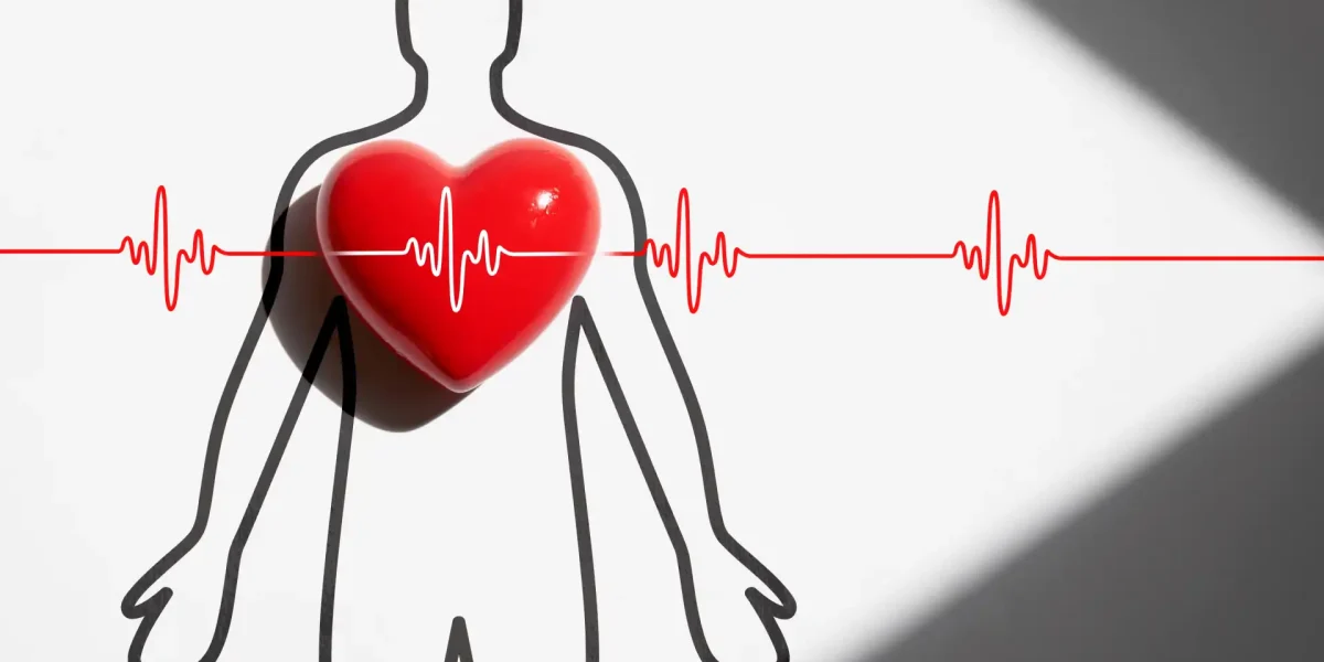 Grafik Herz Rhythmus