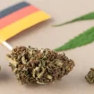 Deutschland Fähnchen Cannabis