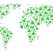 Welt Karte Cannabis