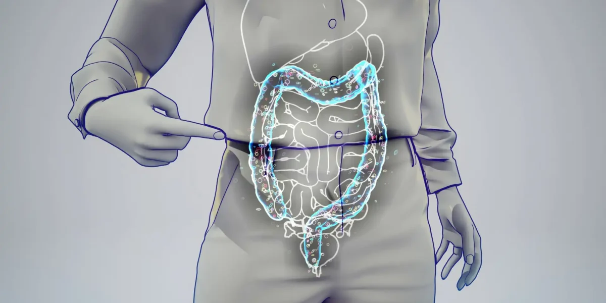 3D Grafik eines Darms in einer Person