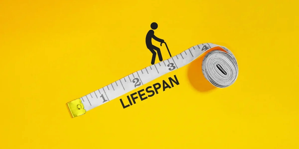 Grafik Massband Lebensspanne