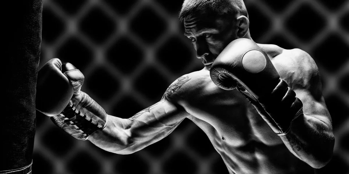 Profi Boxer Sandsack