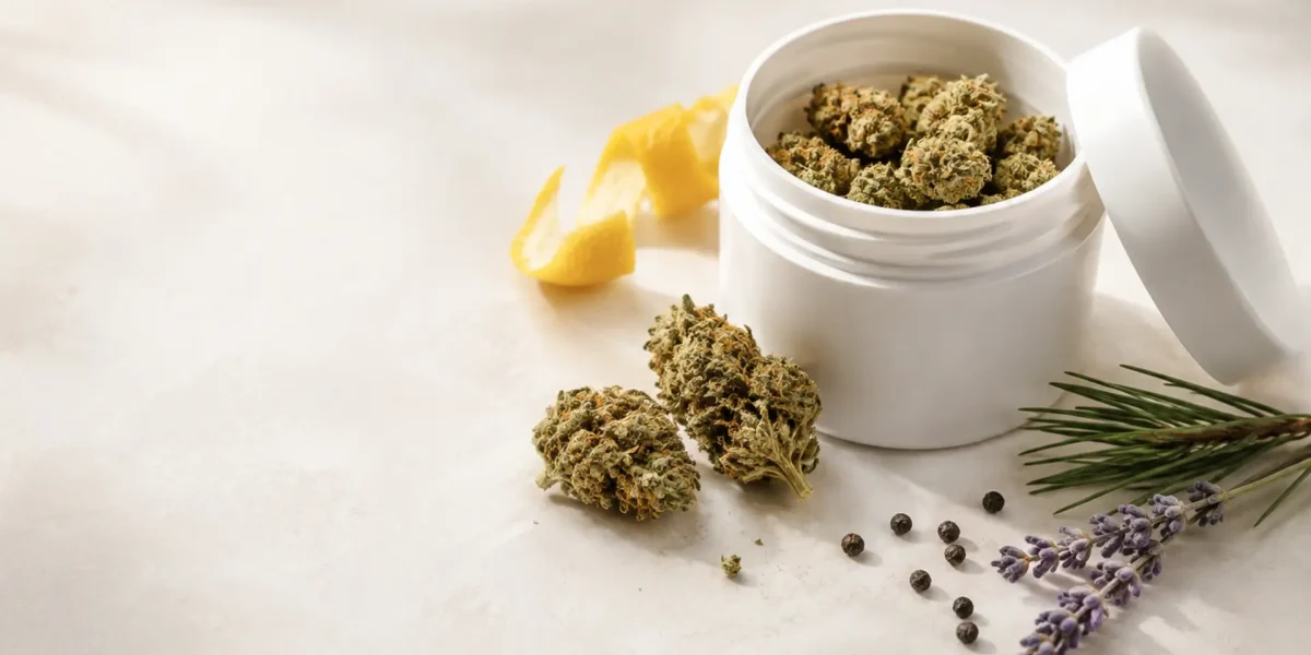 Medizinische Cannabisblüten mit Zitronenschale, Lavendel, Pfeffer und Kiefernnadeln als Beispiele für verschiedene Terpenaromen.