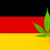 Cannabisblatt vor Deutschland Flagge