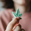 Frau Hält Cannabis