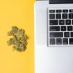 Cannabisblüten neben offenem Laptop