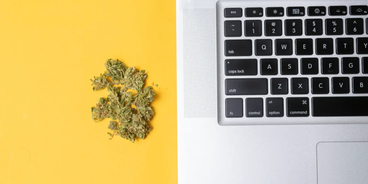Cannabisblüten neben offenem Laptop