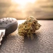 Cannabis Schlüssel Auto