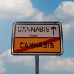Cannabis Legalisierung Deutschland