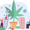 Grafik medizinischer Leistungen rund um Cannabis