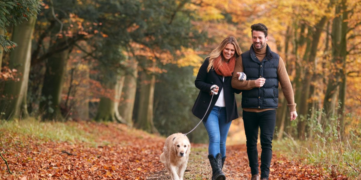 Paar mit Hund bei einem Waldspaziergang